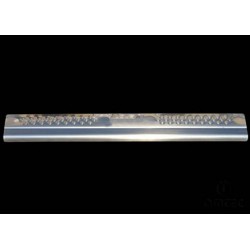 Seuil de porte Ford FOCUS II Facelift