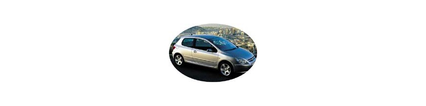 Pièces tuning, accessoires Peugeot 307 2001-2009