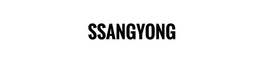 Pièces détachées et accessoires Ssangyong