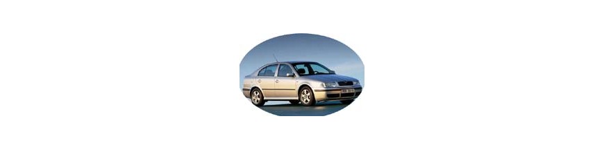 Pièces tuning, accessoires Skoda Octavia 2000-2004