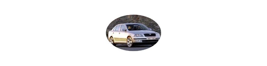 Pièces tuning, accessoires Skoda Octavia 2004-2007