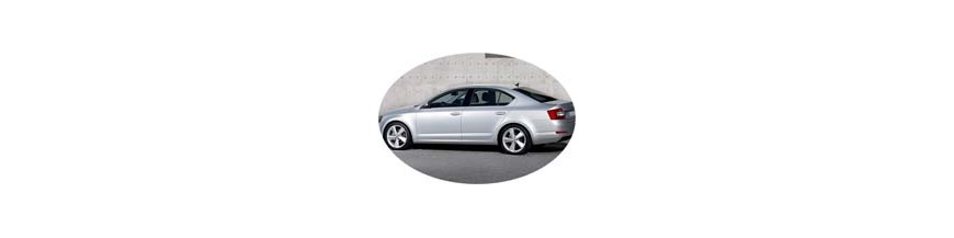 Skoda Octavia 2013 - Actuel