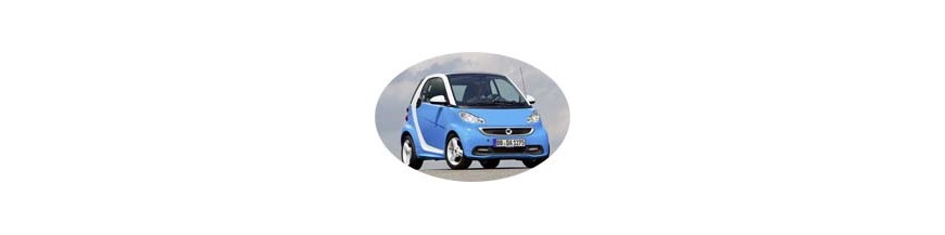 Pièces tuning, accessoires Smart ForTwo 2 2007